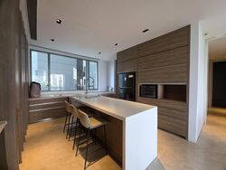 Leedon Residence (D10), Condominium #596537051
